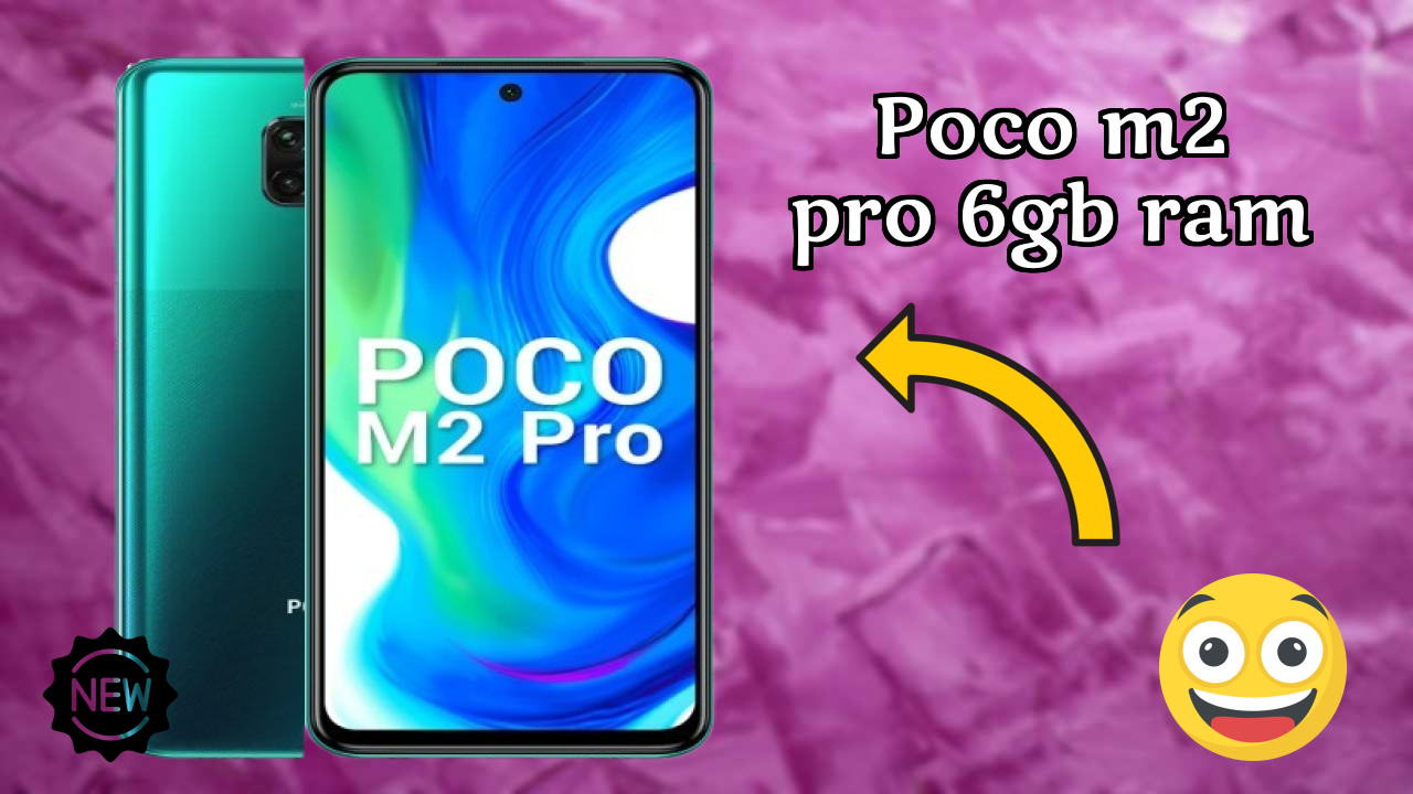 POCO M2 Pro 6GB RAM Camera Review: 48 MP + 8 MP + 5 MP + 2 MP Rear Camera Photo Test