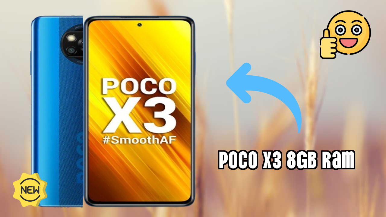 POCO X3 8GB RAM Camera Test: 64 MP + 13 MP + 2 MP + 2 MP Rear Camera Real Photos